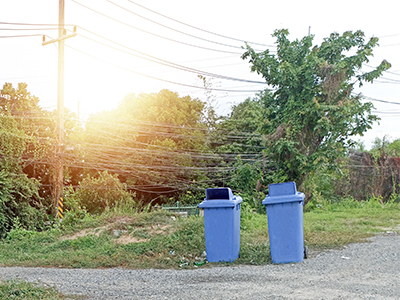 Two blue trash cans stand on the side of the road.